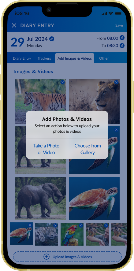 Upload Images & Videos